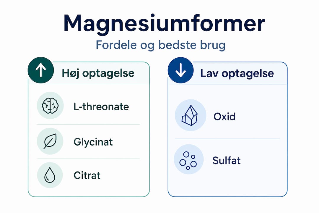 Oversigt: Sådan adskiller de forskellige former for magnesium sig