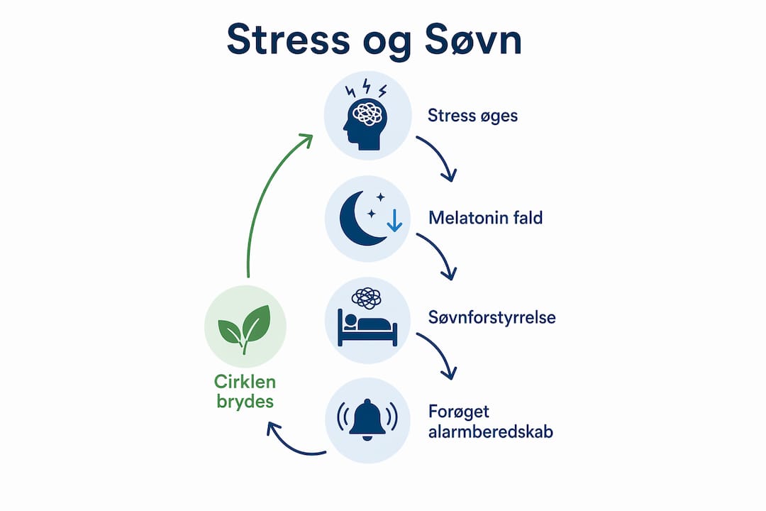 Infografik: Sådan påvirker stress din søvn og hvorfor det er vigtigt at bryde den onde cirkel