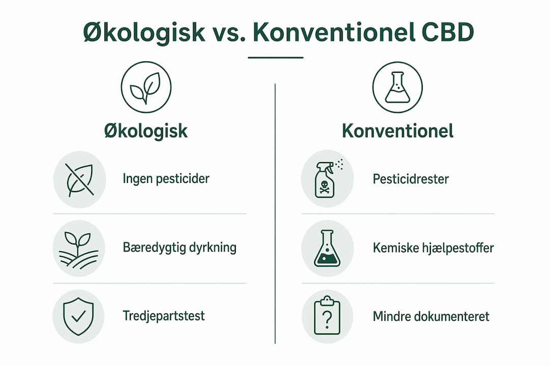 Grafisk oversigt: Økologisk vs. konventionel CBD – hvad er forskellen?