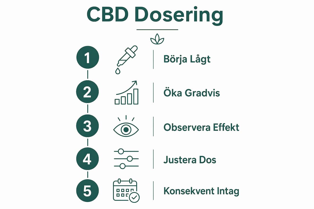 Steg-för-steg-guide: Så hittar du rätt dos av CBD – illustrerad i en överskådlig infographic på svenska