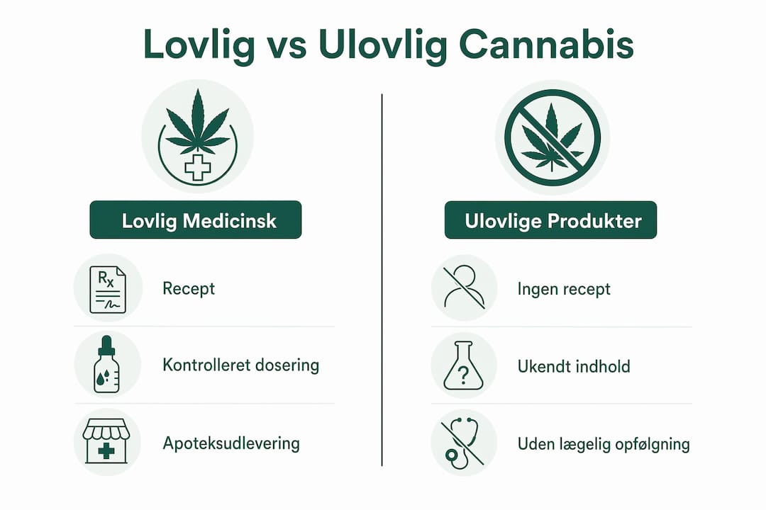 Grafisk oversigt: forskelle på lovlig og ulovlig cannabis