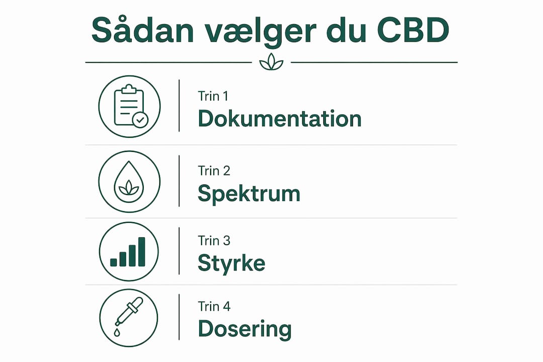 Infografik: Sådan vælger du den rette CBD til øget koncentration