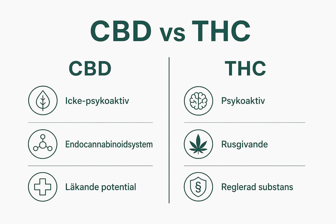 Illustration som tydligt visar skillnaderna mellan CBD och THC