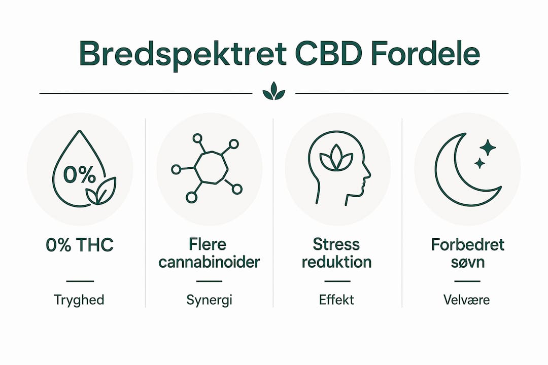 Her får du et overblik over de vigtigste fordele og egenskaber ved bredspektret CBD – samlet i en letforståelig infografik.