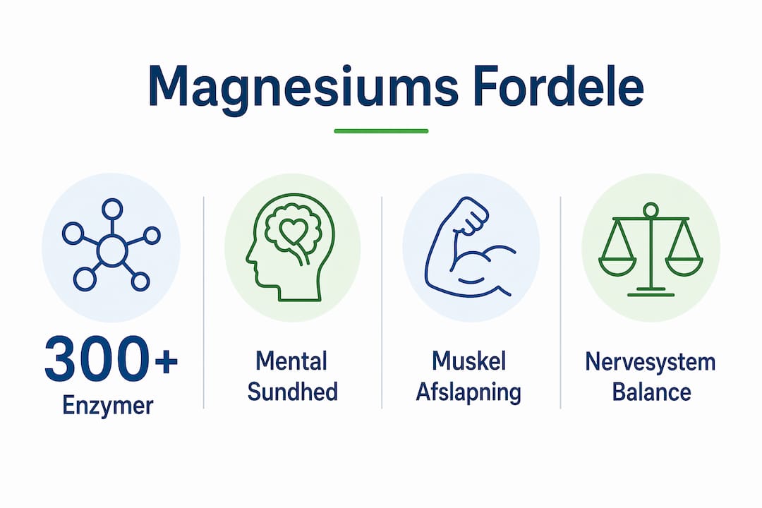 Infografik: Her er de vigtigste fordele ved magnesium