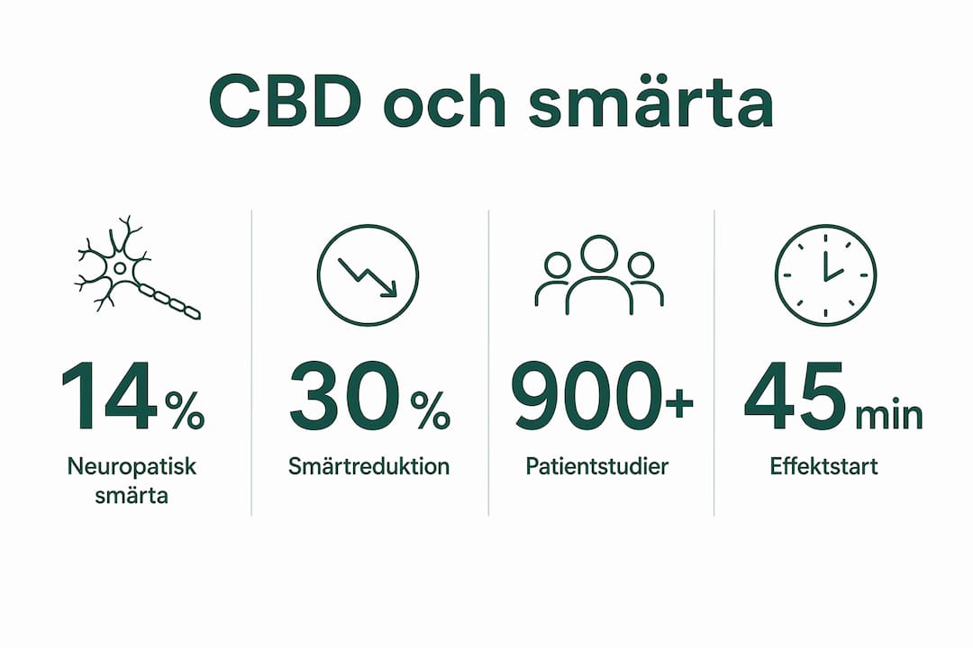 Grafisk översikt: Statistik som visar hur CBD påverkar smärtupplevelse