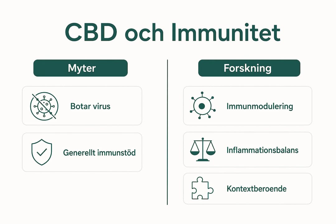 En överskådlig guide som reder ut vad som är fakta och vad som är myter om CBD och dess påverkan på immunförsvaret.