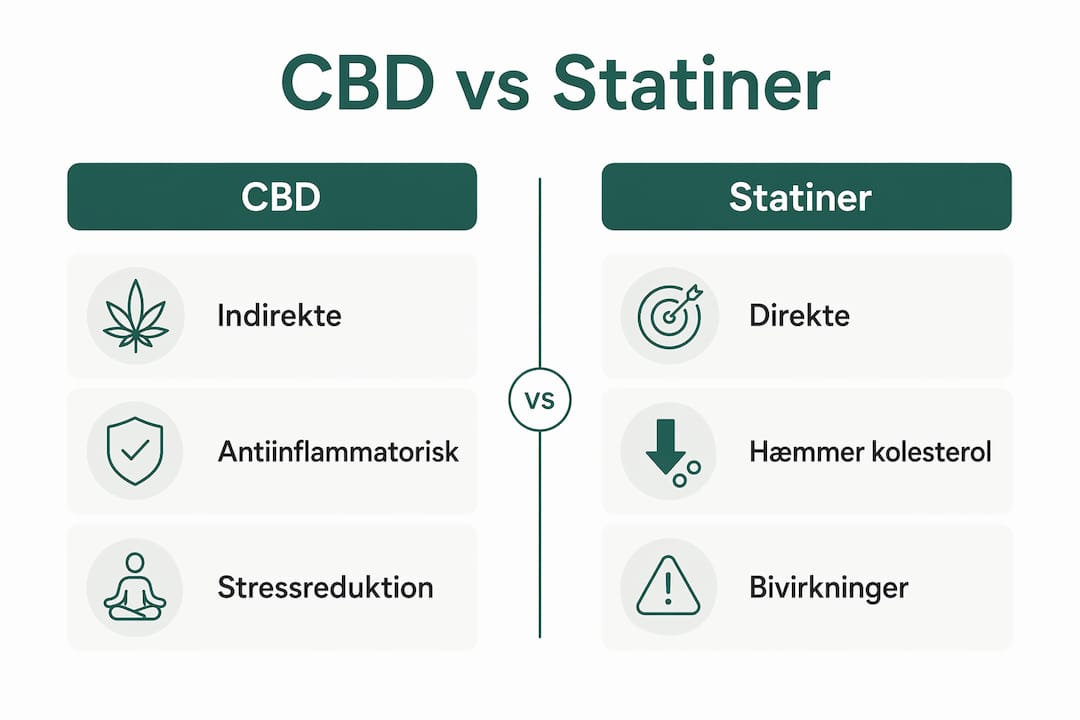 Grafisk oversigt: Sådan påvirker CBD og statiner kolesteroltallet – forskelle og effekter