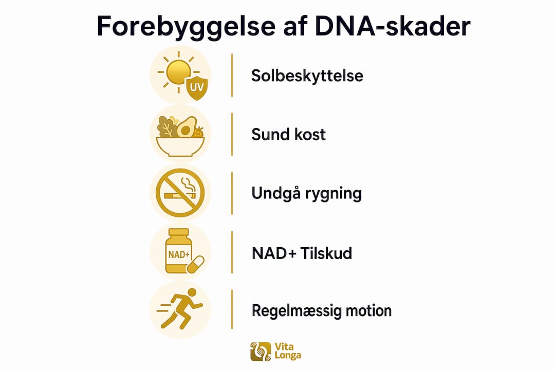 Infografik med gode råd til at beskytte dit DNA