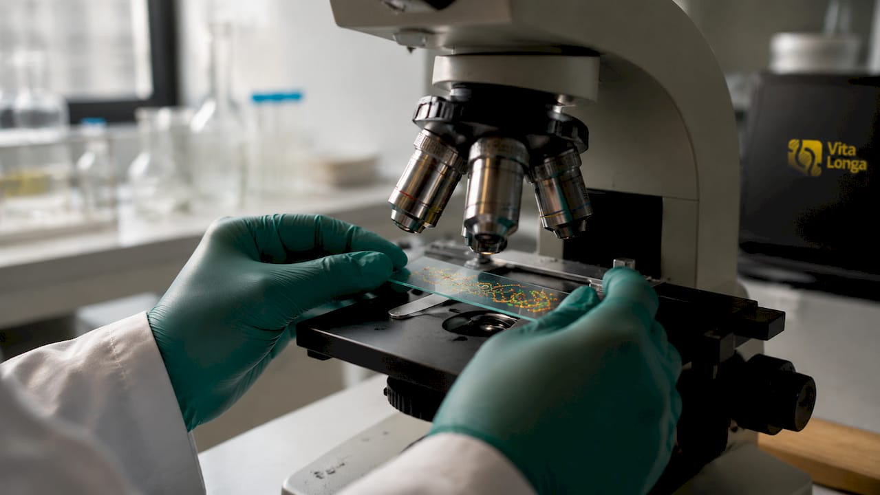 Et par hænder placerer et DNA-præparat under mikroskopet.