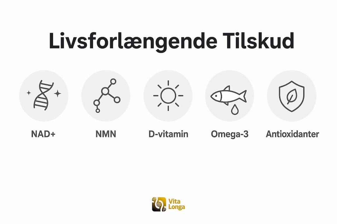 Oversigt: De vigtigste kosttilskud til et længere liv