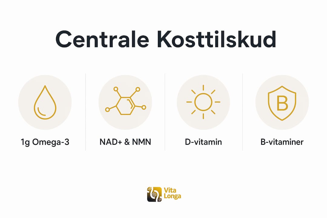 Infografik: De vigtigste kosttilskud til en sund aldring
