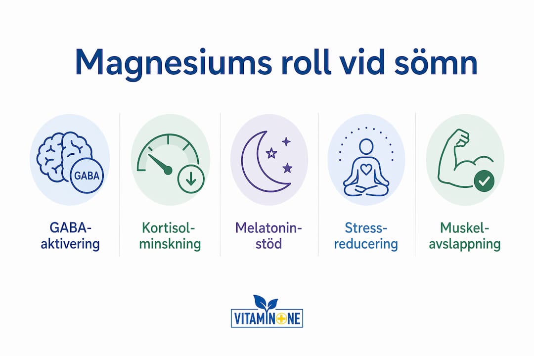 En överskådlig infografik som förklarar magnesiums viktigaste roller för en god nattsömn