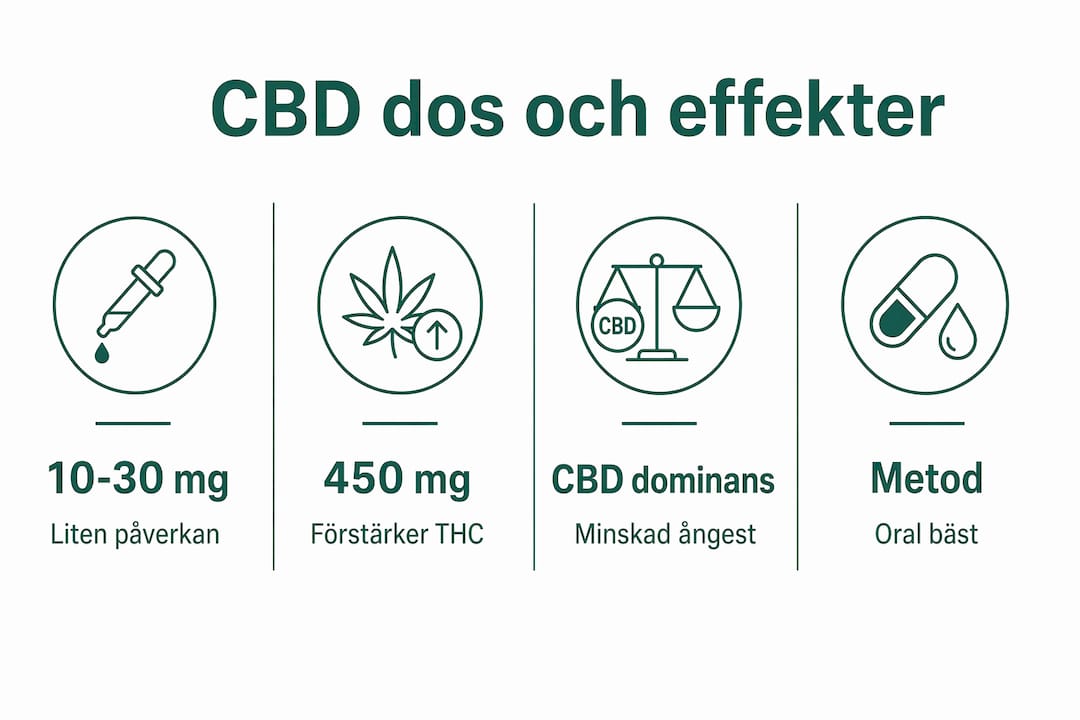 Översiktlig infographic: Så påverkar CBD-dosering effekterna av THC