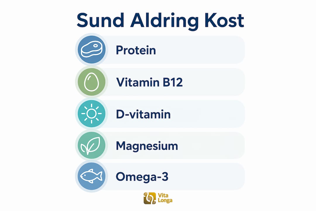 Oversigt: Vigtige næringsstoffer for et sundt seniorliv