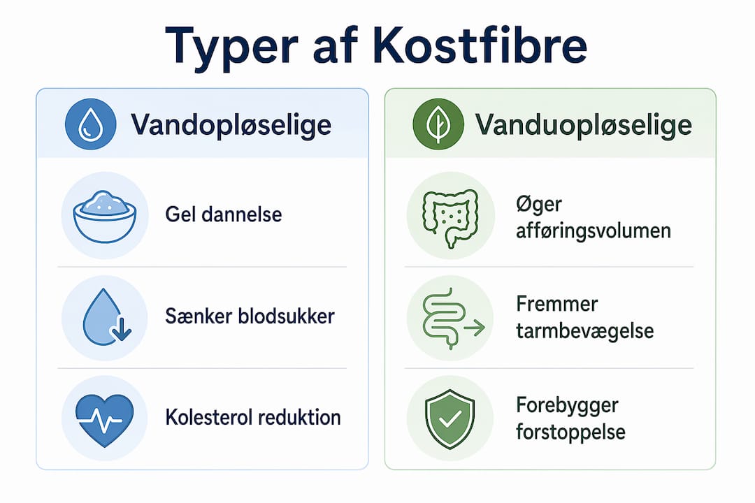 Infografik: Sådan virker de to hovedtyper af kostfibre