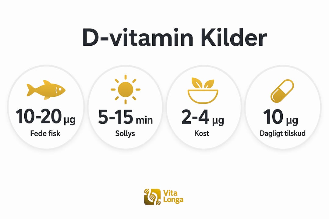 Oversigt: De vigtigste kilder til D-vitamin