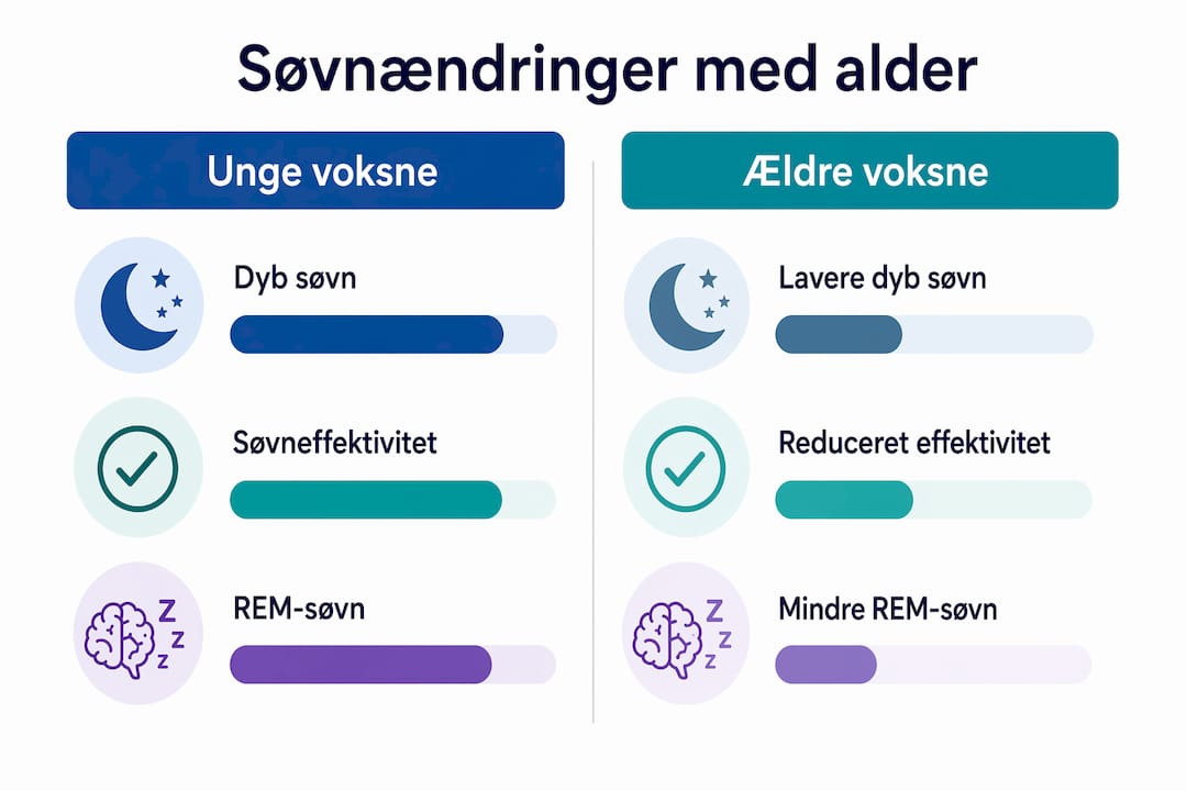 Infografik: Sådan adskiller søvnmønstre sig mellem unge og ældre voksne