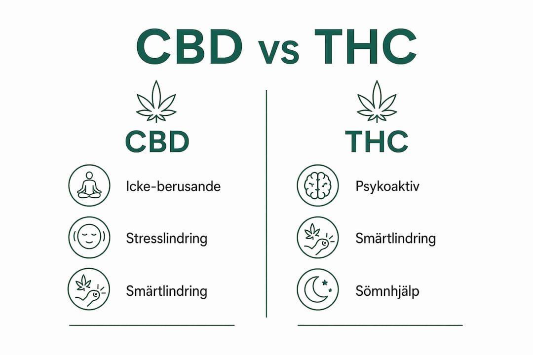 Så skiljer sig CBD från THC – en överskådlig infografik