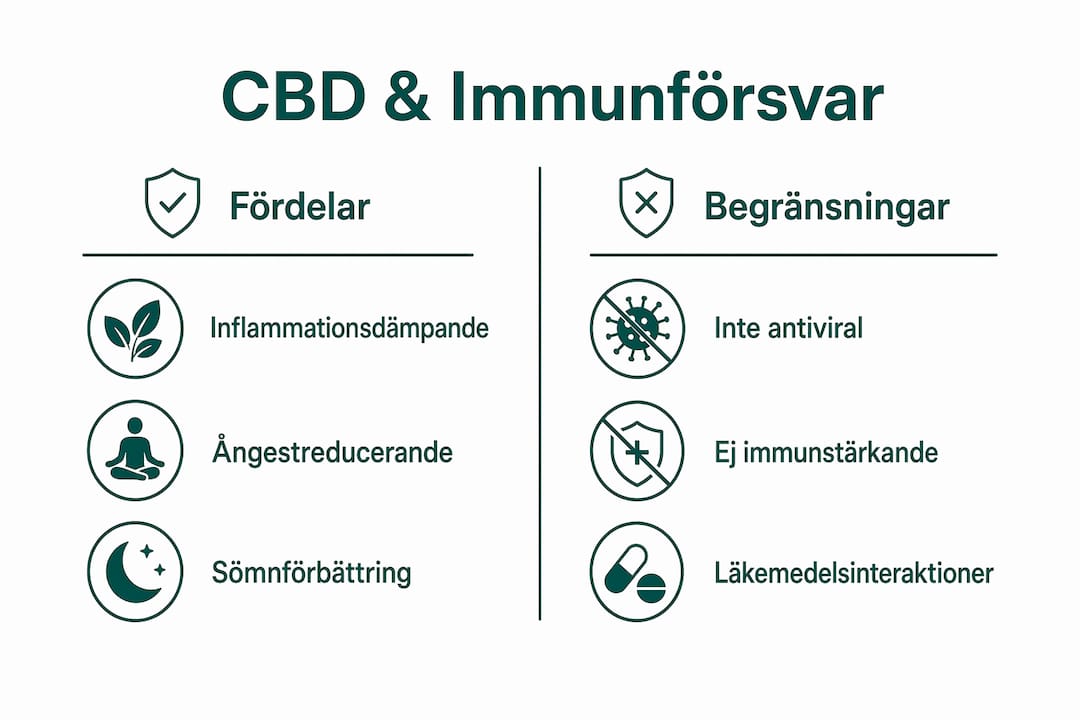 En överskådlig infografik som belyser både möjligheter och begränsningar med CBD i relation till immunförsvaret.