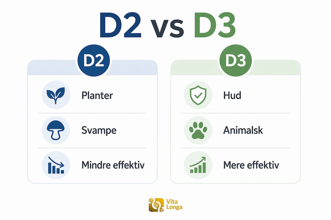 Grafik giver et hurtigt overblik over forskellene på D2 og D3