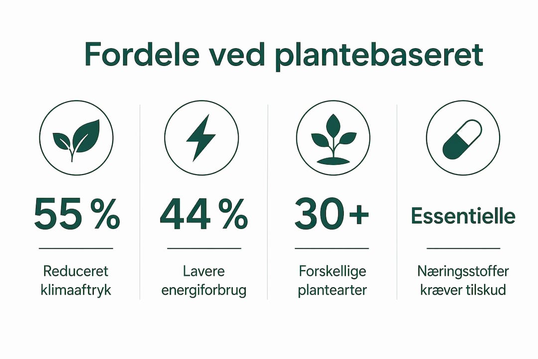 Infografik: De vigtigste tal om, hvorfor plantebaserede produkter er et godt valg