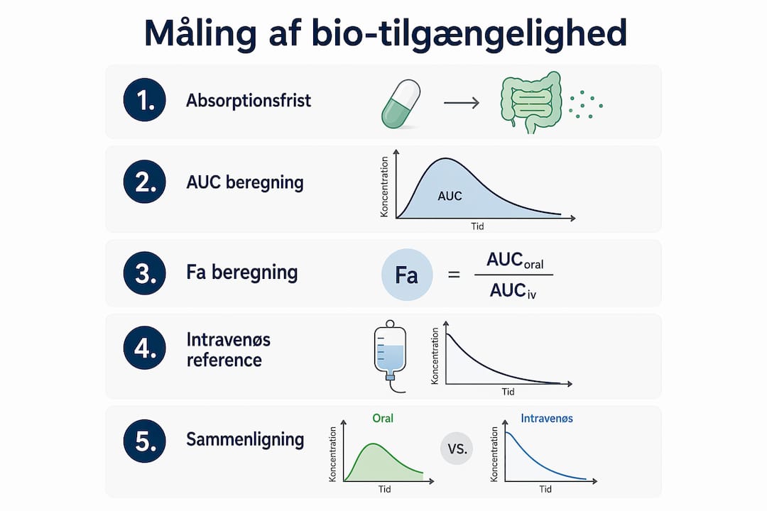 Oversigtsgrafik med de vigtigste trin i målingen af biotilgængelighed