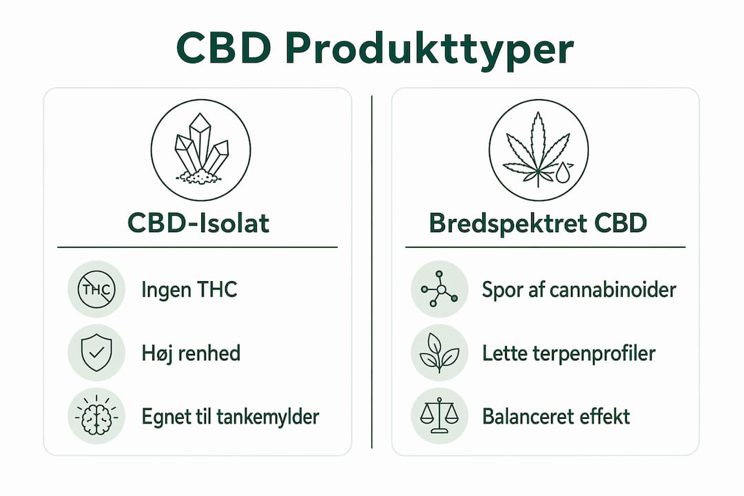 Sammenlignende infografik over forskellige CBD-produkter