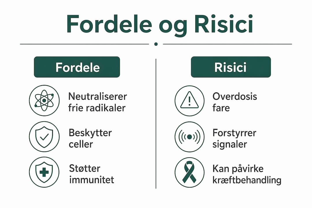 Infografik: Antioxidanter – hvad du bør vide om fordele og mulige risici, når du er fyldt 40