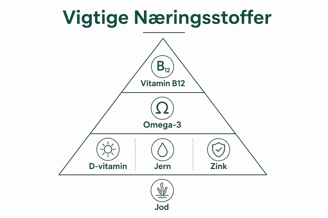 Oversigt: Vigtige næringsstoffer at holde øje med på en vegansk kost
