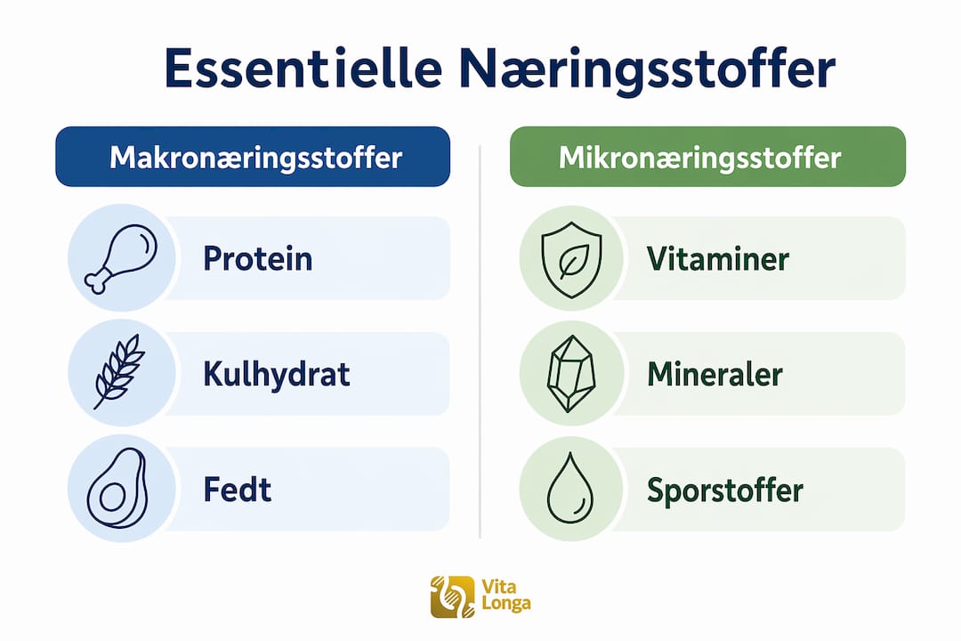 Oversigt over makro- og mikronæringsstoffer samt eksempler på, hvor du finder dem