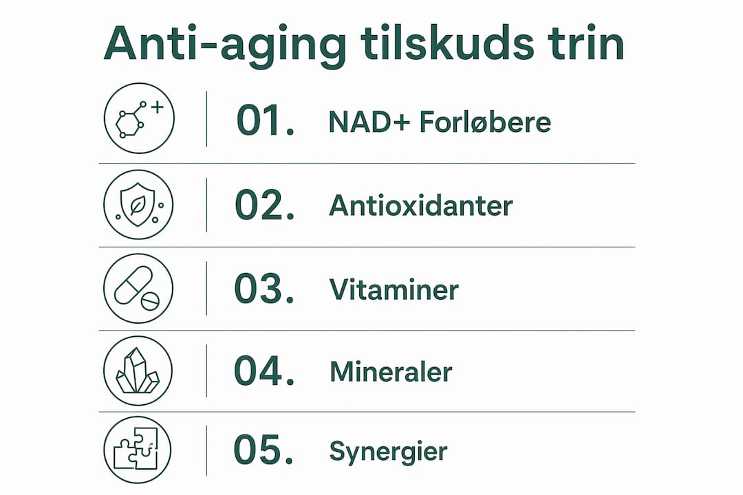 Grafisk oversigt: Sådan bruger du anti-age kosttilskud trin for trin