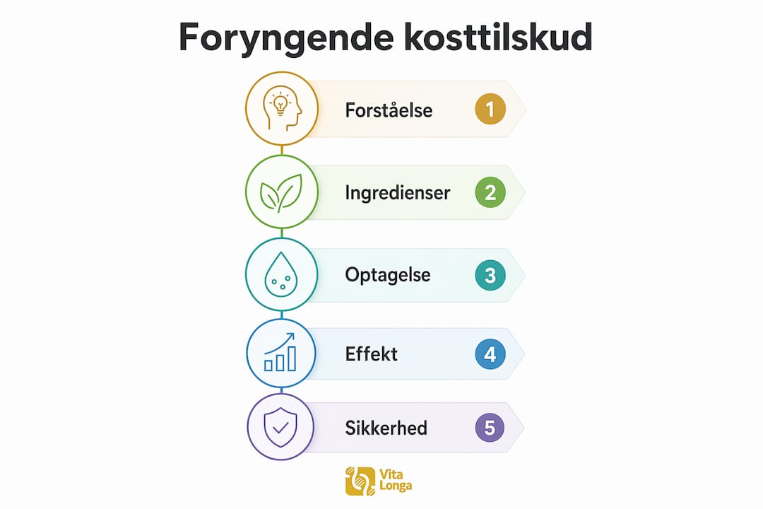 Grafisk oversigt: Sådan bruger du kosttilskud til at booste din vitalitet – trin for trin