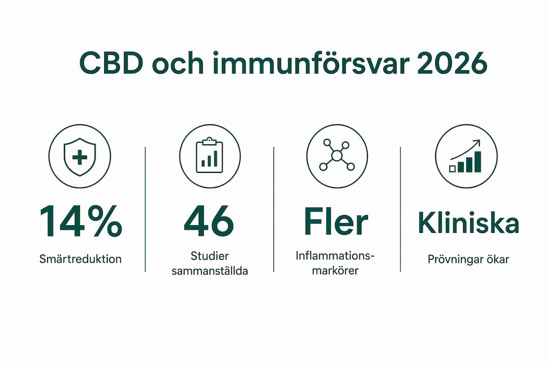 Faktaspäckad infografik: Så påverkar CBD immunförsvaret – statistik och insikter inför 2026