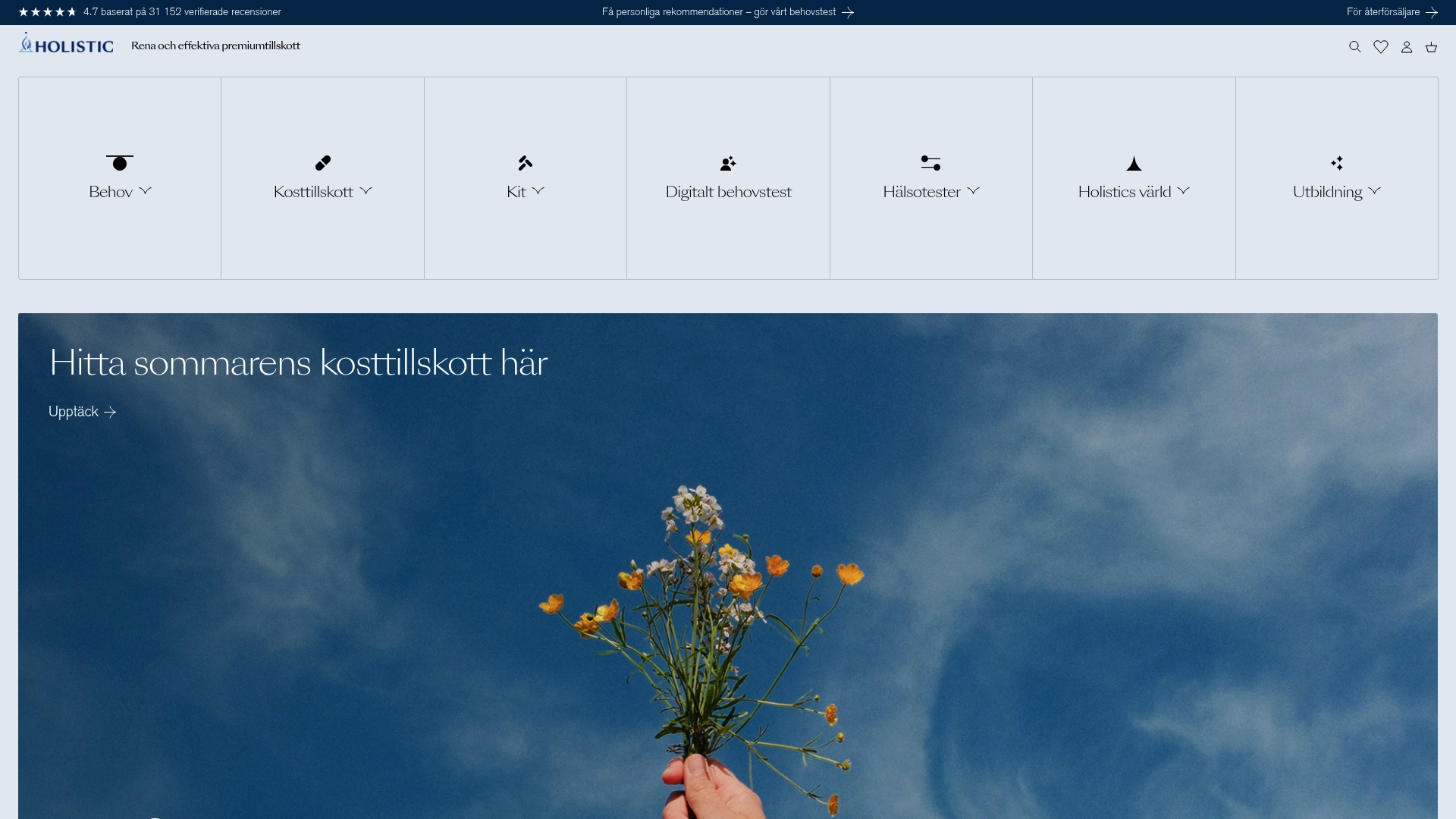 https://holistic.se