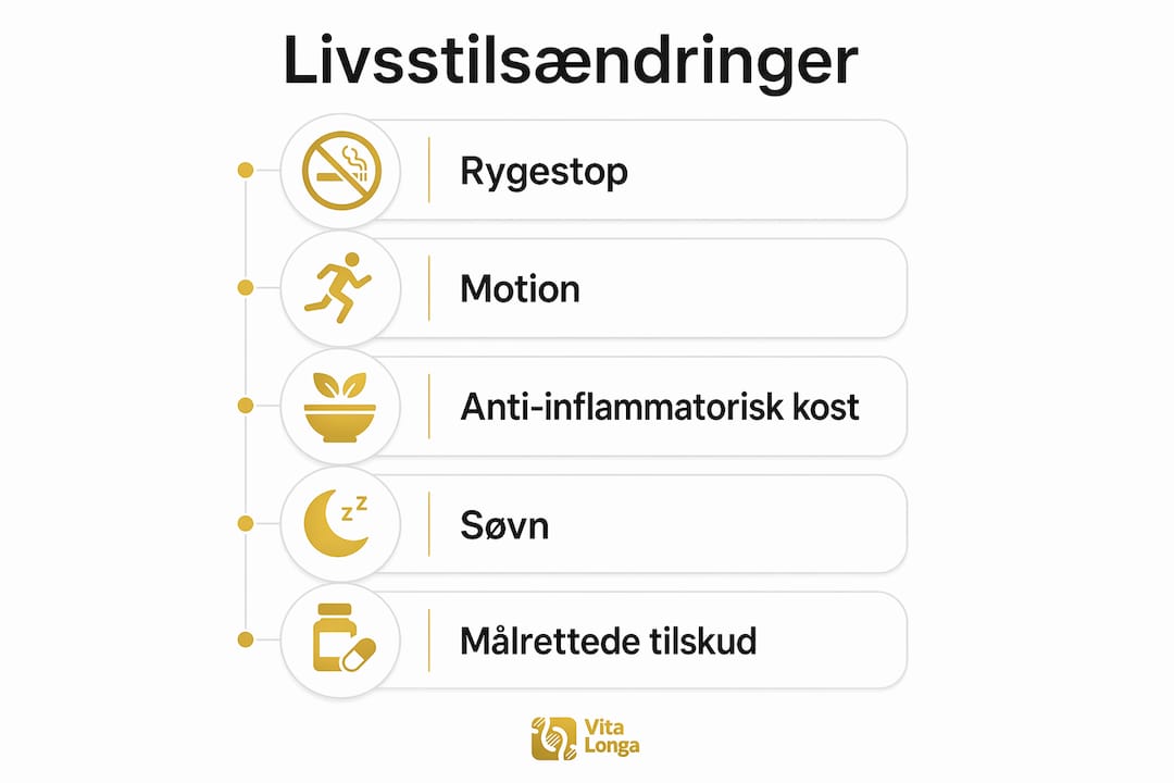 Infografik: Sådan kan livsstilsændringer forebygge celleskader