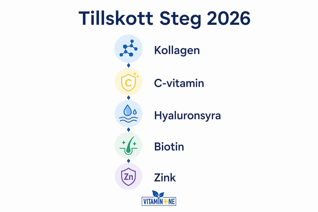 Guide: Så boostar du hud och hår med skönhetstillskott – steg för steg i infografik