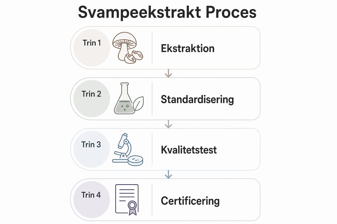 Grafisk oversigt over processen for svampeekstrakt og de vigtigste kvalitetskrav