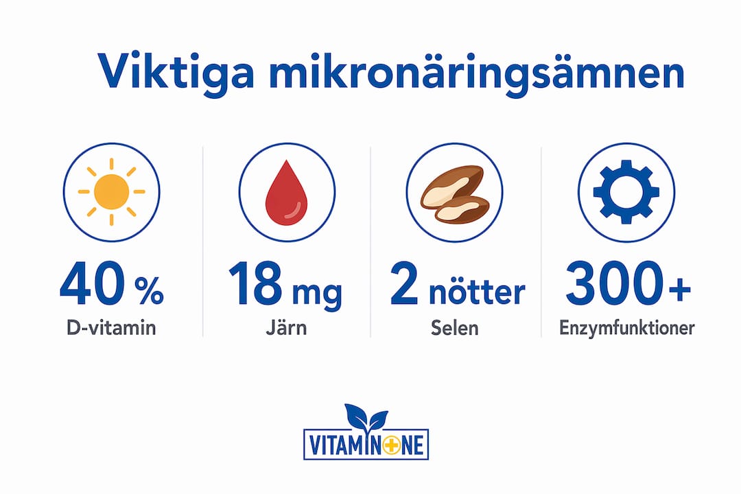 Översikt med infografik: viktiga mikronäringsämnen, statistik och sammanfattande fakta