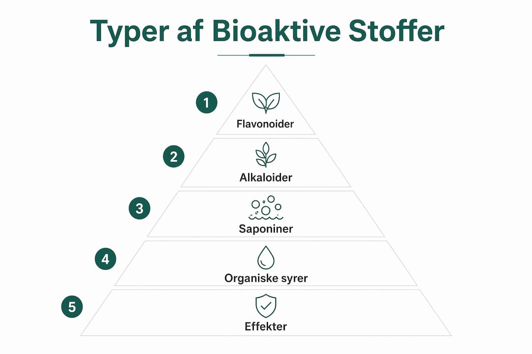 Infografik: Forskellige typer bioaktive stoffer