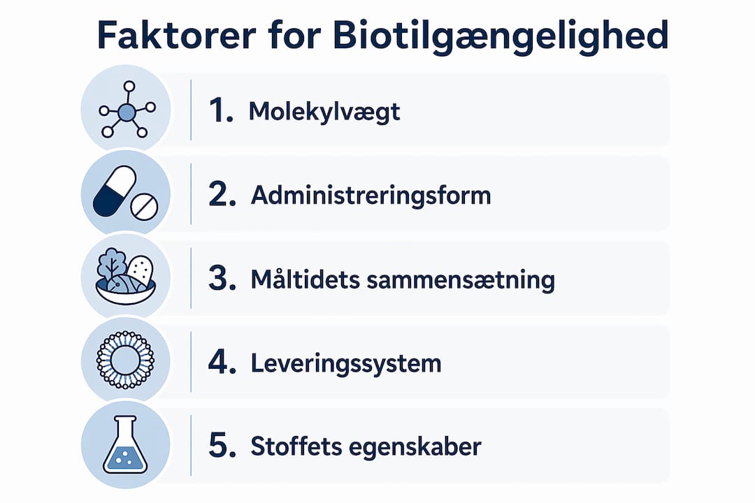Grafisk oversigt: Hvad påvirker kroppens optagelse af næringsstoffer?