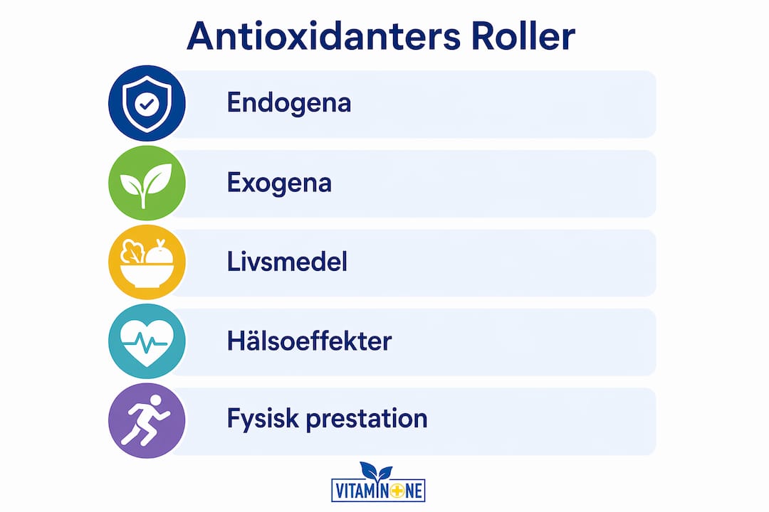 En överskådlig grafisk sammanställning som visar antioxidanternas viktigaste funktioner och hälsofördelar