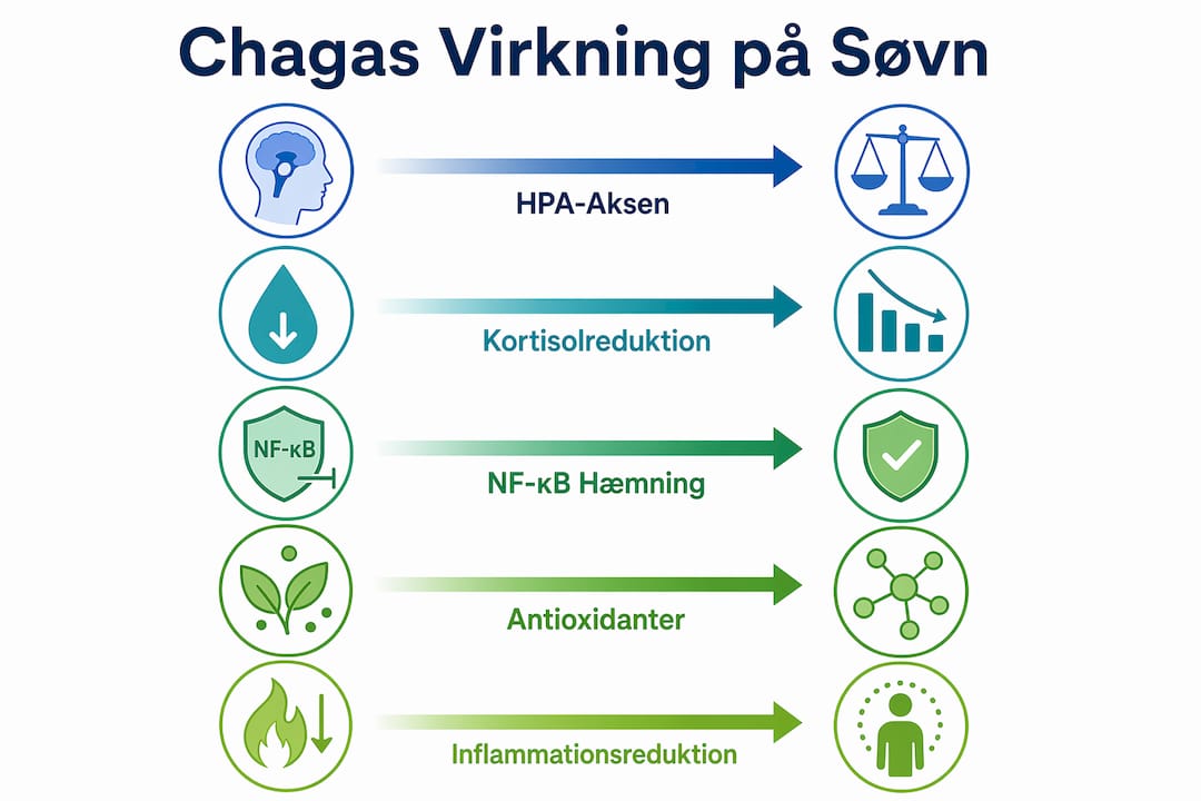 Oversigt: Sådan påvirker Chagas sygdom din søvn – en grafisk gennemgang af de biologiske konsekvenser