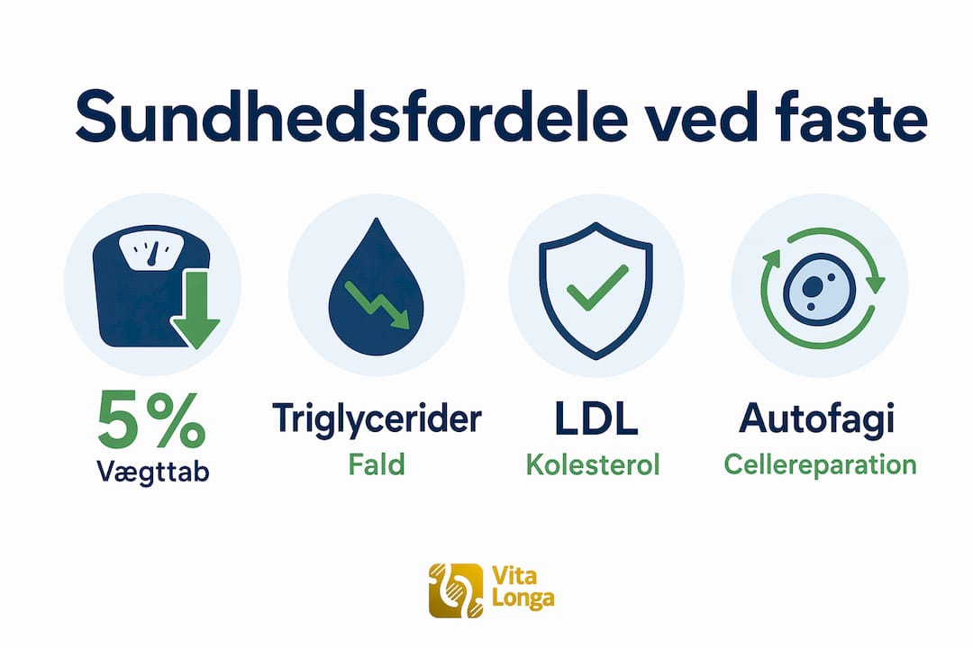 Grafisk oversigt: Sådan gavner periodisk faste din sundhed