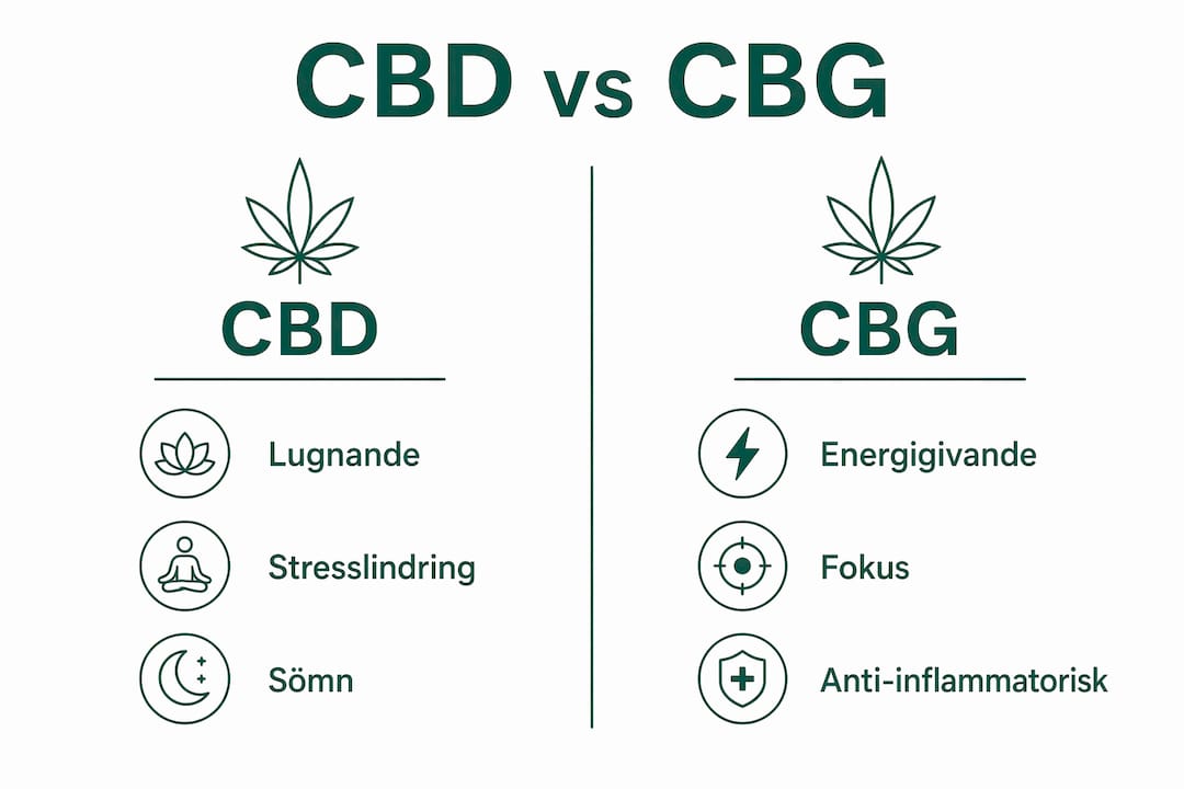 Jämförelse mellan CBD- och CBG-oljor i en överskådlig grafik