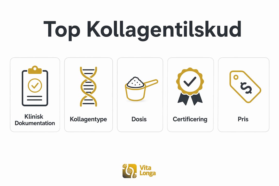 Grafisk oversigt: De bedste egenskaber ved populære kollagentilskud