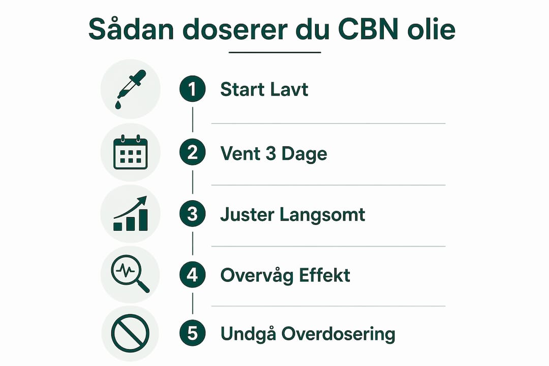 Guide: Sådan doserer du CBN-olie korrekt – trin for trin infografik
