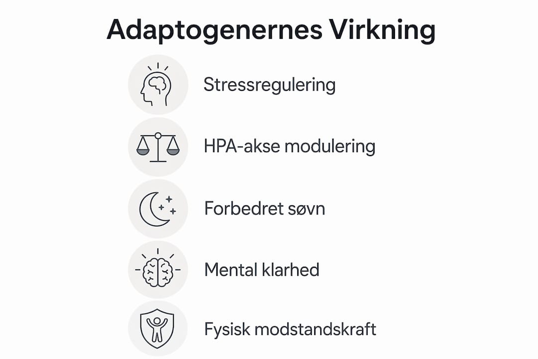 Grafisk oversigt over de mest markante effekter af adaptogener