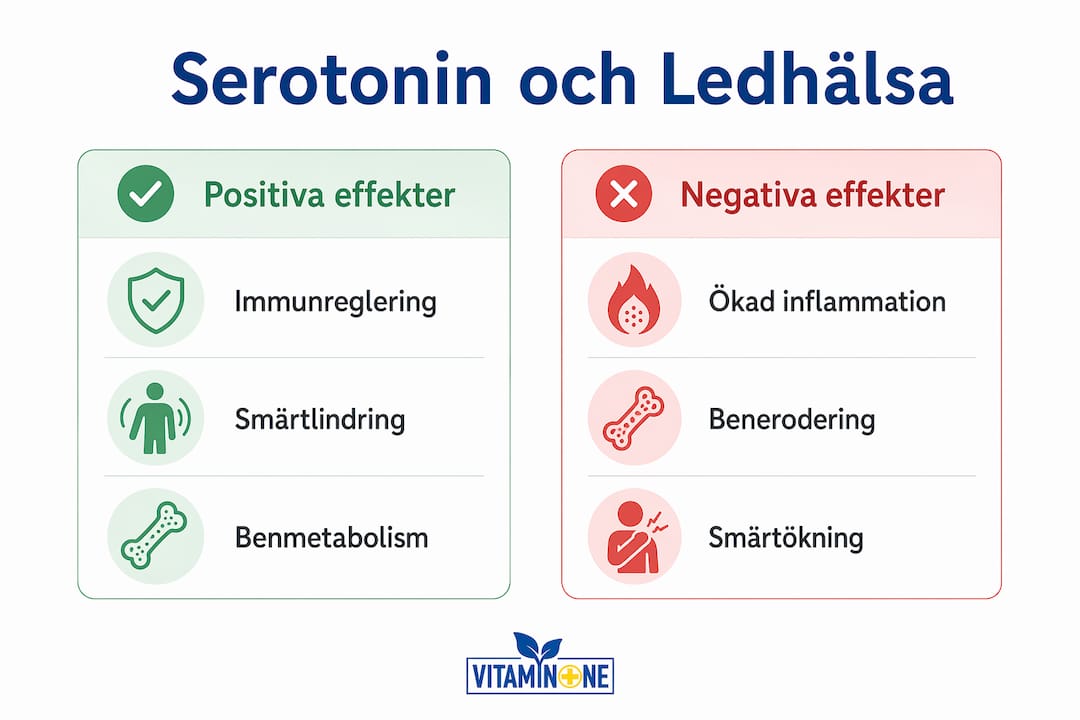 En överskådlig infografik som visar både fördelar och nackdelar med serotonin för våra leder.