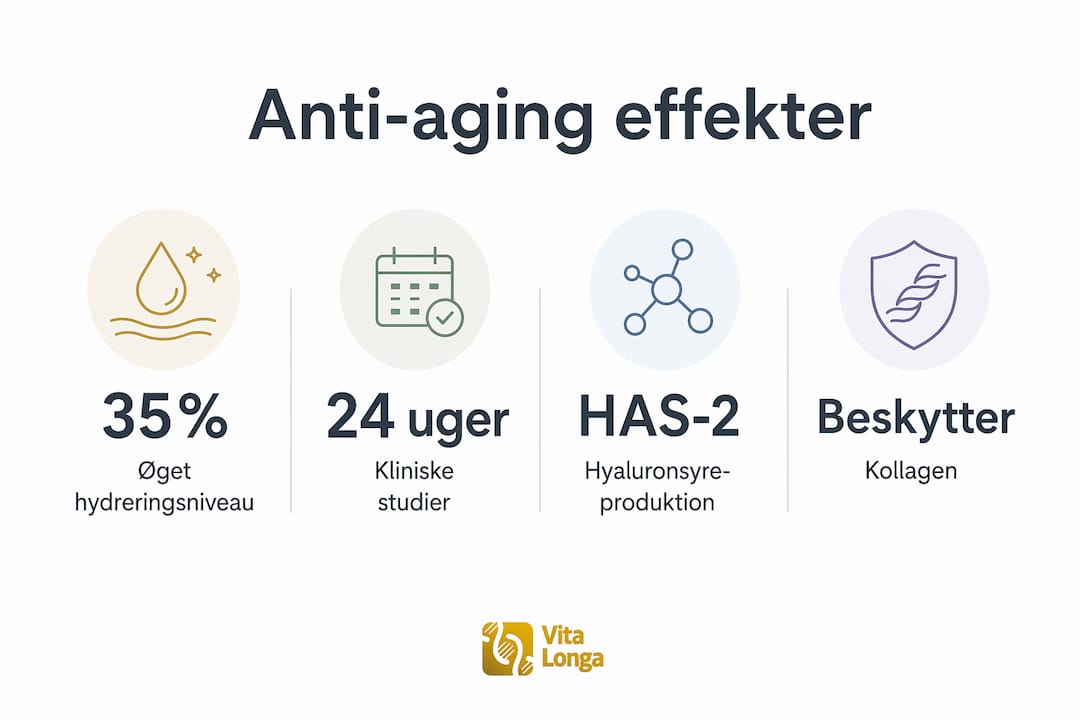 Visuel guide: Sådan kan kakao hjælpe med at holde dig ung – se de vigtigste tal og fakta
